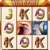 Wild Spirit